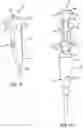 Fig. 16 - Devices, systems, and methods for knotless suture anchors