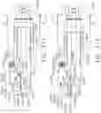 Fig. 100 - Control systems for surgical instruments