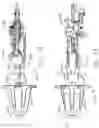 Fig. 66 - Control systems for surgical instruments