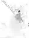 Fig. 17 - Anti-reflux plug forming detachable tip microcatheter