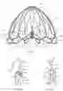 Fig. 04 - Medical device and system for occluding a tissue opening and method thereof