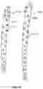 Fig. 13 - Minimally invasive surgery targeting guides and methods of use