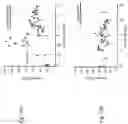 Fig. 14 - System and method for detecting and aligning acoustic beam in situ to a target using wide-beam, low frequency (<1 mhz) ultrasound