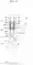 Fig. 12 - End tool for surgical instrument and method of manufacturing the same