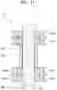 Fig. 47 - End tool for surgical instrument and method of manufacturing the same