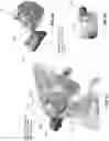 Fig. 67 - MEDICAL INSTRUMENTS FOR PERFORMING MINIMALLY-INVASIVE PROCEDURES