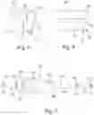 Fig. 03 - Implantable compression screws