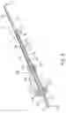 Fig. 04 - Implantable compression screws