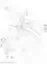 Fig. 07 - Tool for bone implant