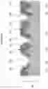 Fig. 03 - Methods and devices for thermal tissue vaporization and compression