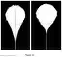 Fig. 13 - MICROWAVE APPARATUS AND METHOD