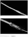 Fig. 15 - MICROWAVE APPARATUS AND METHOD