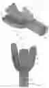 Fig. 04 - Device for dental hygiene