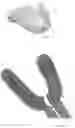 Fig. 06 - Device for dental hygiene