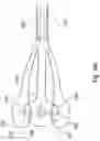 Fig. 08 - HYDRAULIC DRIVEN BRUSH - INTERDENTAL JET COMBINATION