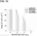 Fig. 14 - BIOMEDICAL PATCHES WITH ALIGNED FIBERS