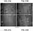 Fig. 16 - BIOMEDICAL PATCHES WITH ALIGNED FIBERS