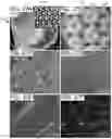 Fig. 20 - BIOMEDICAL PATCHES WITH ALIGNED FIBERS