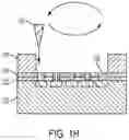 Fig. 06 - MACROENCAPSULATION DEVICES