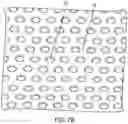 Fig. 16 - MACROENCAPSULATION DEVICES