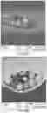 Fig. 17 - MACROENCAPSULATION DEVICES