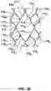 Fig. 05 - Transcatheter heart valve prostheses