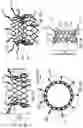 Fig. 18 - FLARED PROSTHETIC CARDIAC VALVE DELIVERY DEVICES AND SYSTEMS