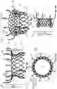 Fig. 19 - FLARED PROSTHETIC CARDIAC VALVE DELIVERY DEVICES AND SYSTEMS
