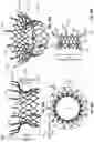 Fig. 21 - FLARED PROSTHETIC CARDIAC VALVE DELIVERY DEVICES AND SYSTEMS