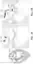 Fig. 08 - TRANSLUMINAL DELIVERY SYSTEM