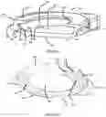 Fig. 05 - MOTION PRESERVING SPINAL TOTAL DISC REPLACEMENT APPARATUS, METHOD AND RELATED SYSTEMS