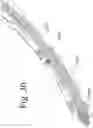 Fig. 32 - Devices and methods for inter-vertebral orthopedic device placement