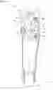 Fig. 20 - Multi-articulated link knee joint