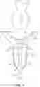 Fig. 14 - Hannah cervical cup