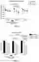 Fig. 10 - METHODS AND DEVICES FOR PERSONAL CARE INCLUDING MENSTRUATION AND MICROBIAL INFECTIONS