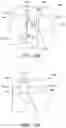 Fig. 12 - AUXILIARY BAND AND METHOD FOR SECURING AN ABSORBENT PAD ONTO A VULVA REGION