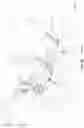 Fig. 12 - Wheelchair for improved muscular skeletal system alignment