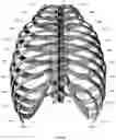 Fig. 13 - Systems and Methods for Relieving Nerve Tension in Scoliosis