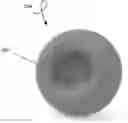 Fig. 01 - CUP ATTACHMENT FOR MASSAGER