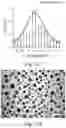 Fig. 03 - Double-layered denture comprising nanoparticles