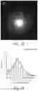 Fig. 04 - Double-layered denture comprising nanoparticles