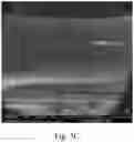 Fig. 15 - Double-layered denture comprising nanoparticles