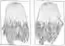 Fig. 01 - Temporary Hair Coloring