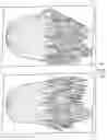 Fig. 02 - Temporary Hair Coloring