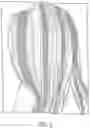 Fig. 03 - Temporary Hair Coloring