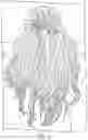 Fig. 04 - Temporary Hair Coloring