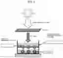 Fig. 02 - CELL ACTIVATOR