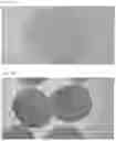 Fig. 02 - INJECTION FORMULATION COMPOSITION CONTAINING MESENCHYMAL STEM CELL-HYDROGEL AND METHOD FOR PREPARING, FREEZING AND DEFROSTING SAME