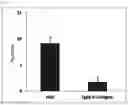 Fig. 04 - INJECTION FORMULATION COMPOSITION CONTAINING MESENCHYMAL STEM CELL-HYDROGEL AND METHOD FOR PREPARING, FREEZING AND DEFROSTING SAME