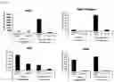 Fig. 05 - INJECTION FORMULATION COMPOSITION CONTAINING MESENCHYMAL STEM CELL-HYDROGEL AND METHOD FOR PREPARING, FREEZING AND DEFROSTING SAME